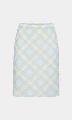 the mesh midi skirt