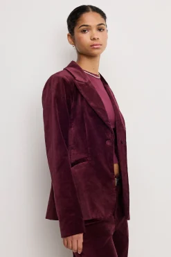 velvet sculpted blazer