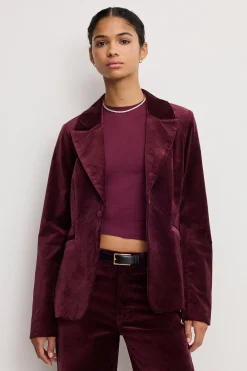 velvet sculpted blazer